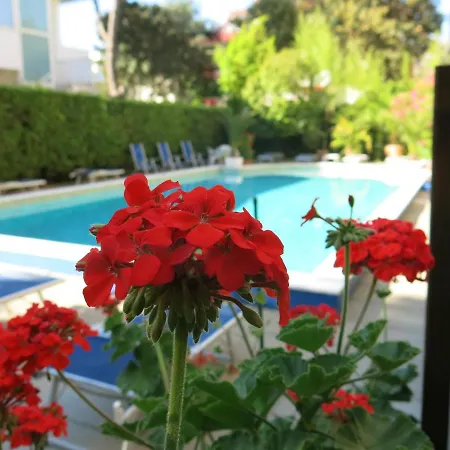 Madeira Otel